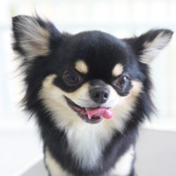 キラキラ笑顔でサマースタイル！！