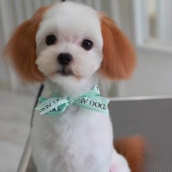 カラーリングで鮮やかに夏らしく☆