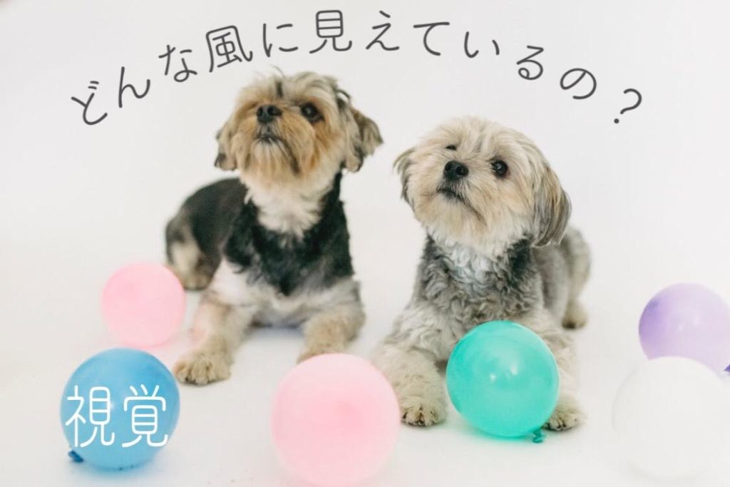 どういう風に
