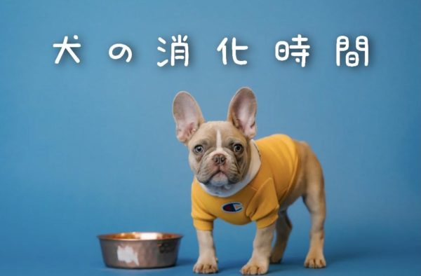 犬の消化時間