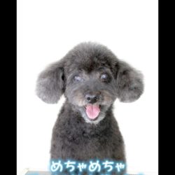 キャンディー入ってる？？ｗ