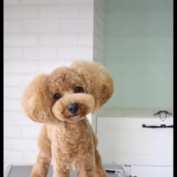 おパンツ育成中ってどんなスタイル？！