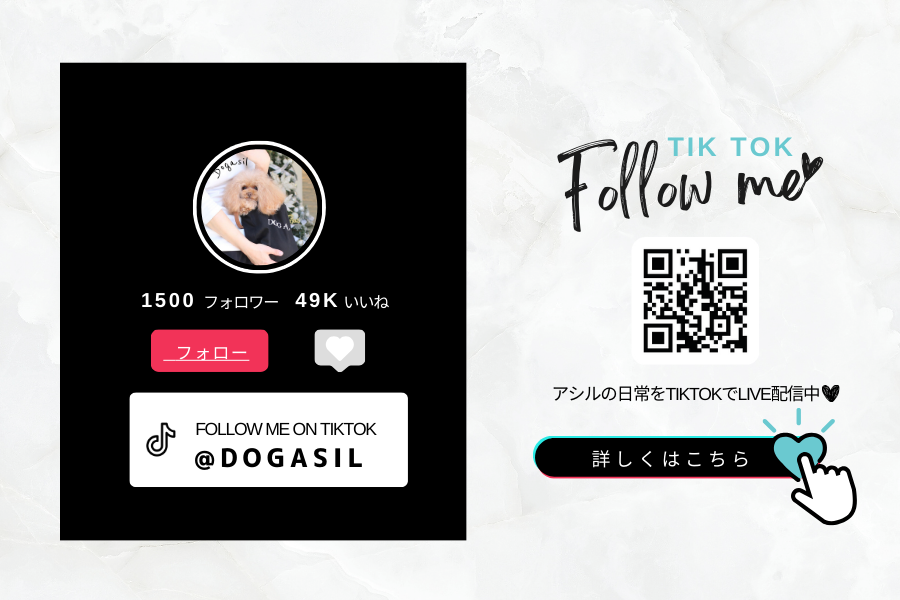 Follow me　TikTok