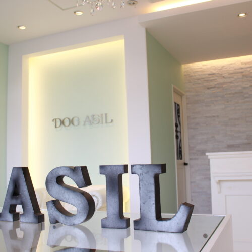 ドッグアシル店内内装の様子でASILの装飾品が手前にある