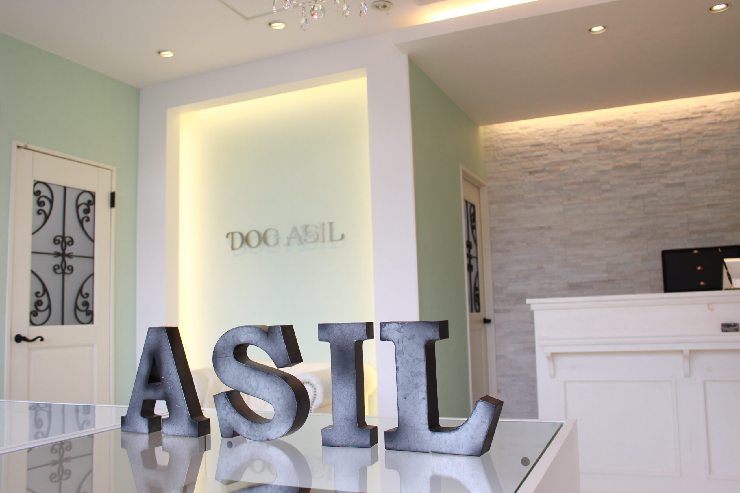 ドッグアシル店内内装の様子でASILの装飾品が手前にある