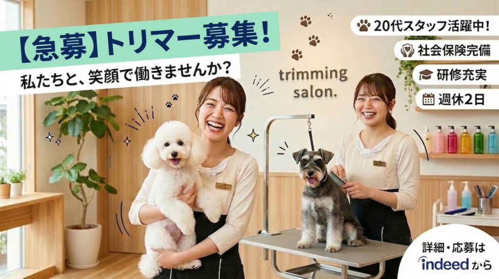 明るく清潔なトリミングサロンで、2人の笑顔の女性スタッフが、白いトイプードルとミニチュアシュナウザーをトリミングしている様子。「急募 トリマー募集！」や「社会保険完備」などの求人情報のテキストも含まれている、DOG ASILの求人画像。