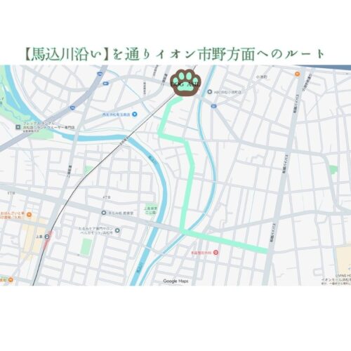 浜松市のトリミングサロン「ドッグアシル」へのイオン市野方面からのアクセスルートマップ。「【馬込川沿い】を通りイオン市野方面へのルート」のタイトルがあり、小豆餅方面との位置関係、店舗を示す肉球マークと馬込川沿いを通過するミントグリーンの案内線が描かれた地図画像。