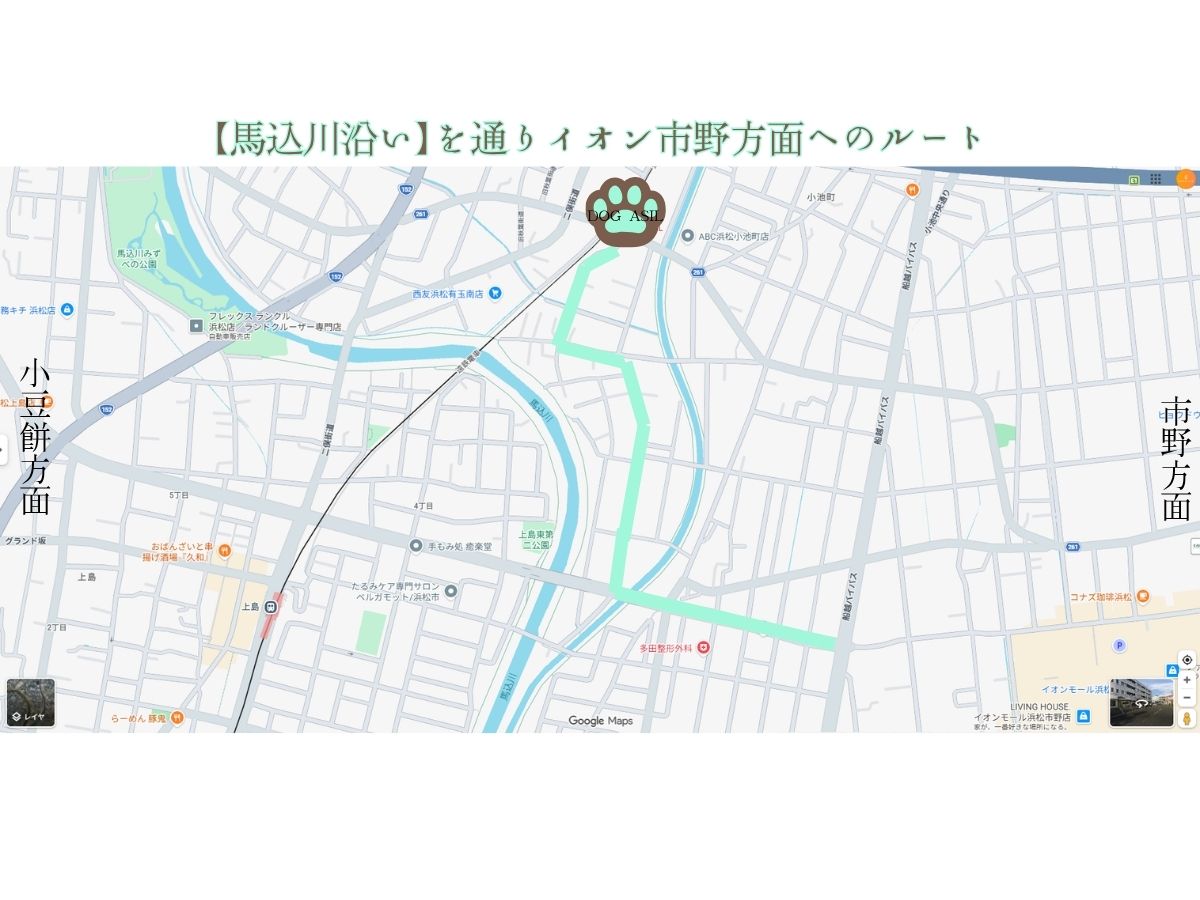 浜松市のトリミングサロン「ドッグアシル」へのイオン市野方面からのアクセスルートマップ。「【馬込川沿い】を通りイオン市野方面へのルート」のタイトルがあり、小豆餅方面との位置関係、店舗を示す肉球マークと馬込川沿いを通過するミントグリーンの案内線が描かれた地図画像。