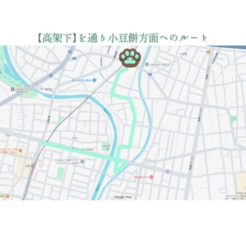 浜松市のトリミングサロン「ドッグアシル」への小豆餅方面からのアクセスルートマップ。「【高架下】を通り小豆餅方面へのルート」のタイトルがあり、市野方面との位置関係、店舗を示す肉球マークと高架下を通過するミントグリーンの案内線が描かれた地図画像。