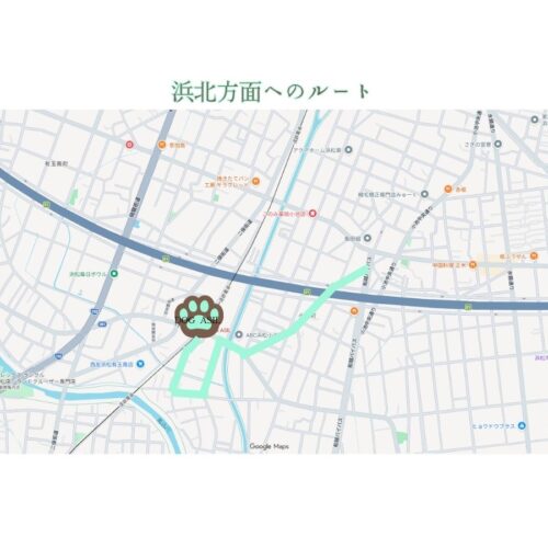 ドッグアシルへの広域ルート案内。Googleマップを背景に、中央の店舗位置にある肉球ロゴマークから、浜北方面、小豆餅方面、市野方面へと繋がる道路網とミントグリーンの走行ルートが視覚化されたナビゲーションマップ。