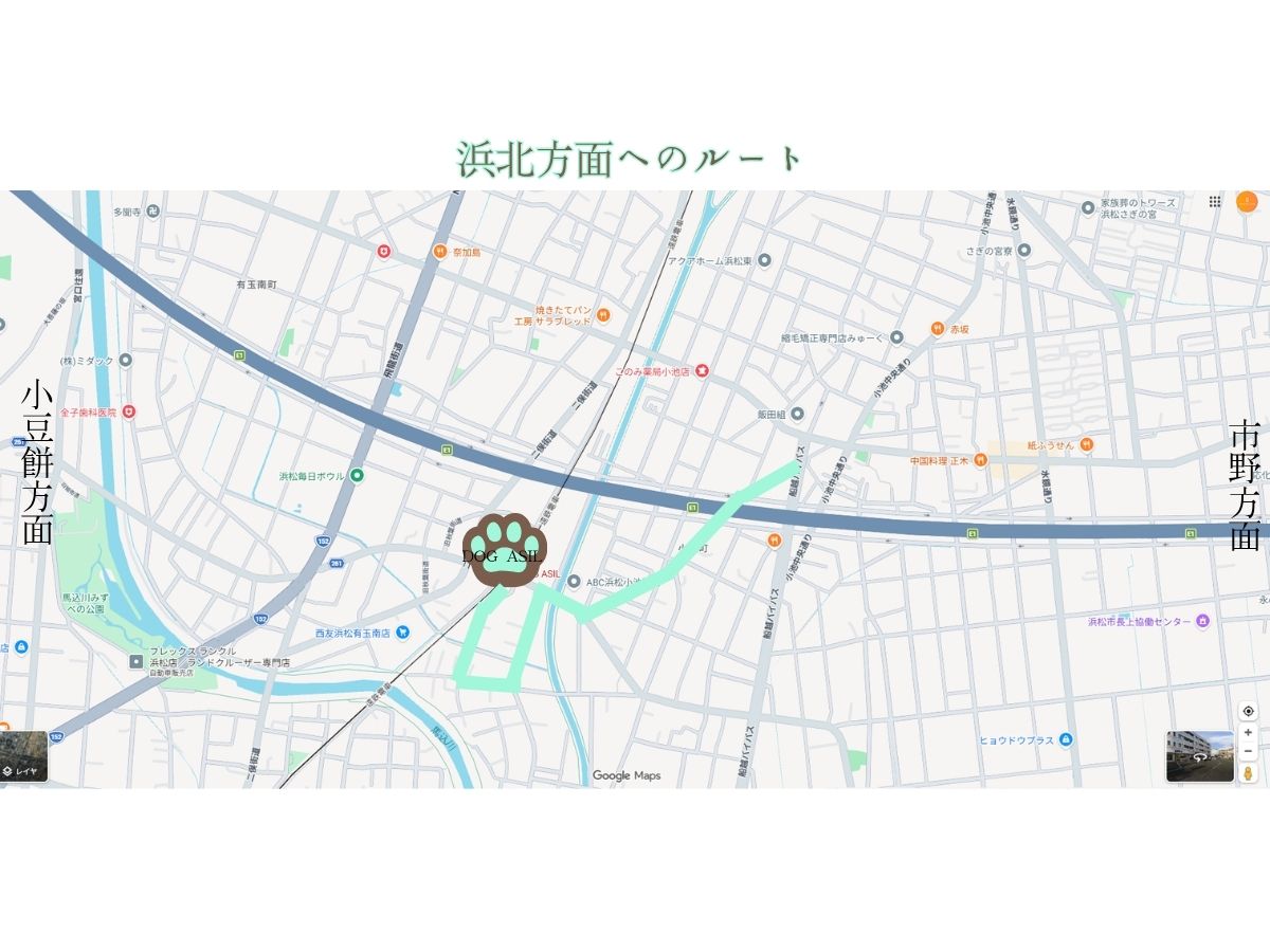 ドッグアシルへの広域ルート案内。Googleマップを背景に、中央の店舗位置にある肉球ロゴマークから、浜北方面、小豆餅方面、市野方面へと繋がる道路網とミントグリーンの走行ルートが視覚化されたナビゲーションマップ。