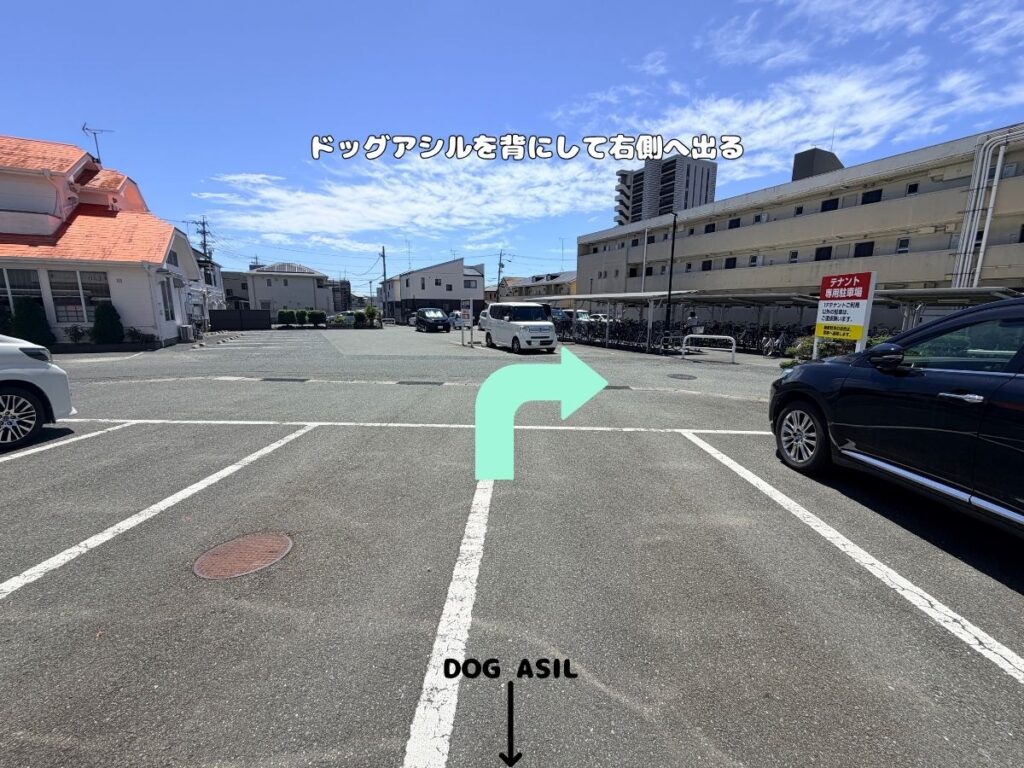 トリミングサロン「ドッグアシル」の駐車場出口の案内。「ドッグアシルを背にして右側へ出る」のテロップが入り、敷地から道路へ右折して出る方向をミントグリーンの矢印で示した写真。