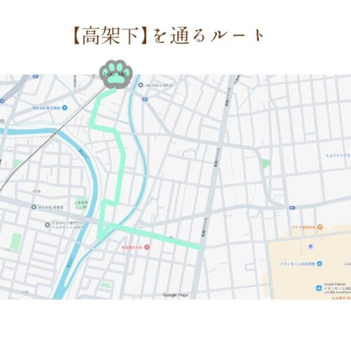 トリミングサロン「ドッグアシル」へ向かう【高架下】を通るルートの案内マップ。イオンモール浜松市野方面からのアクセス経路をミントグリーンの太線で示した地図画像。