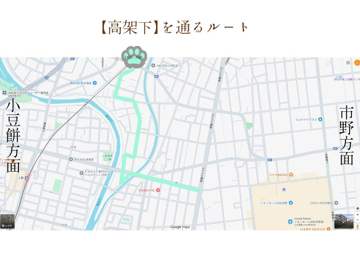 トリミングサロン「ドッグアシル」へ向かう【高架下】を通るルートの案内マップ。イオンモール浜松市野方面からのアクセス経路をミントグリーンの太線で示した地図画像。